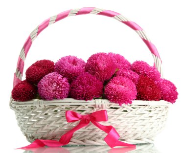 beyaz izole pembe aster çiçek sepeti,