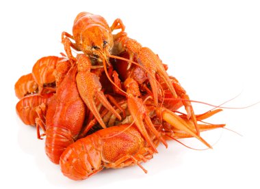 beyaz izole lezzetli haşlanmış crayfishes