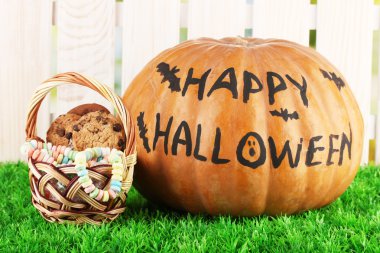 Cadılar Bayramı Balkabağı açık renkli çim üzerinde