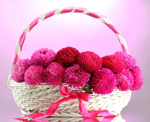 Beautiful aster flowers in basket, on pink background — Stock Photo, Image