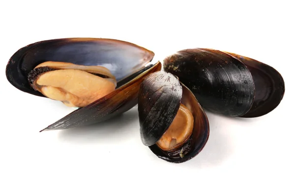 Mussels in shell isolated on white — Stock Photo, Image