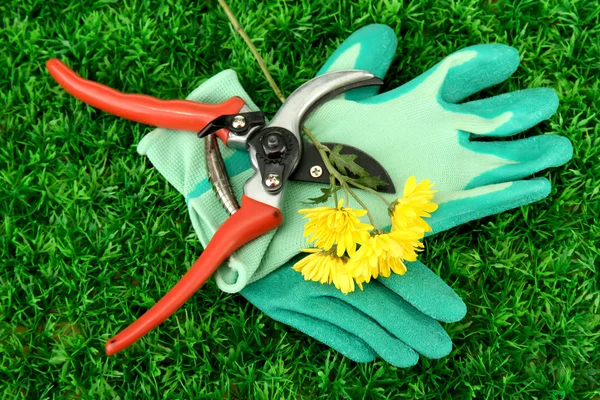 Secateurs with flower on green grass background — Stock Photo, Image