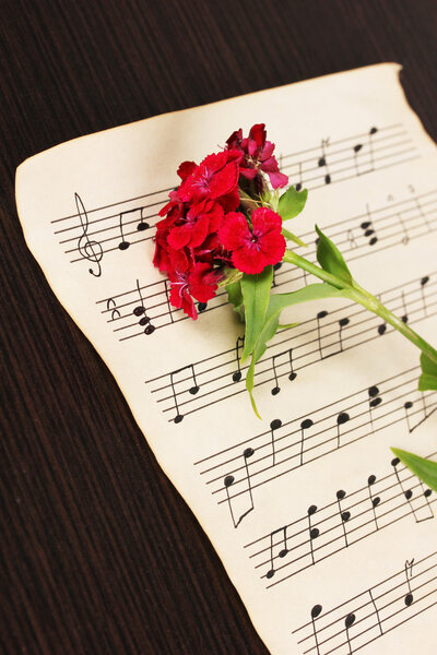 Musical notes and flower on wooden table