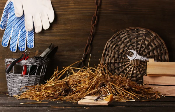 Mousetrap with a piece of cheese in barn on wooden background — Stock Photo, Image