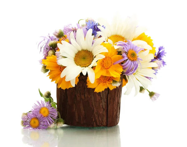 Bellissimo bouquet di fiori di campo luminosi in vaso di legno, isolato su bianco — Foto Stock