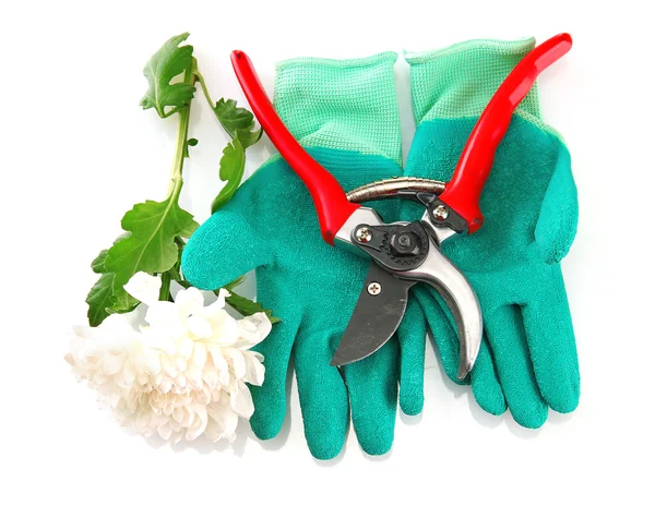 Zahradnické nůžky s květem izolované na bílém — Stock fotografie