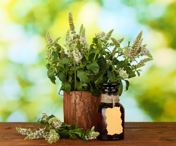 Essential oil and mint on green background close-up — Stock Photo, Image