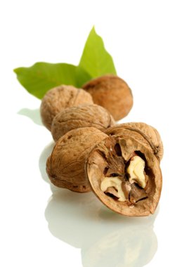 Ceviz beyaz izole yeşil yaprakları ile