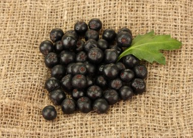 chokeberry çuval arka plan yakın çekim yeşil yaprağı ile