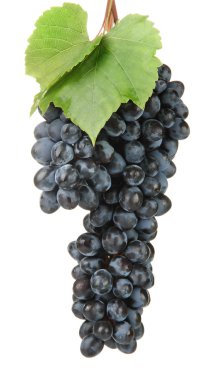 Olgun tatlı üzüm üzerine beyaz izole