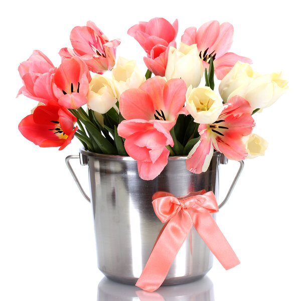 beautiful pink tulips in bucket isolated on white