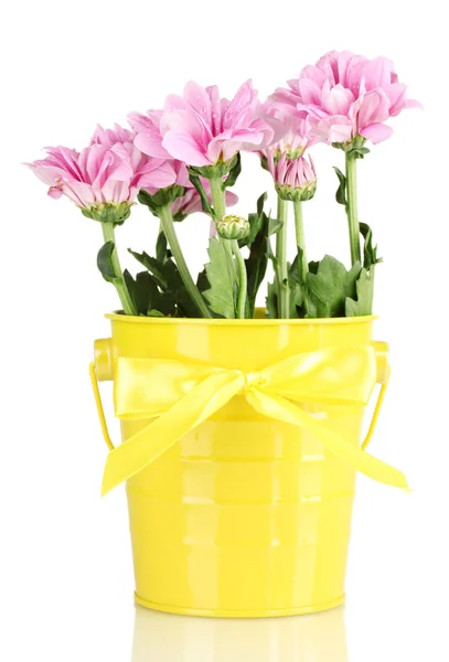 Beautiful bouquet of chrysanthemums in a bright colorful bucket isolated on white — Stock Photo, Image
