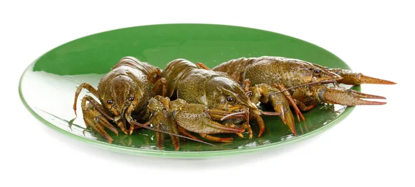 Green crayfishes on the plate isolated on white — Stock Photo, Image