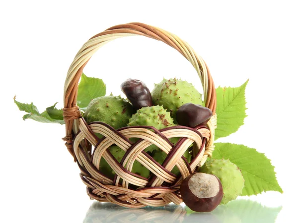 Chestnuts with leaves in basket, isolated on white — Stock Photo, Image