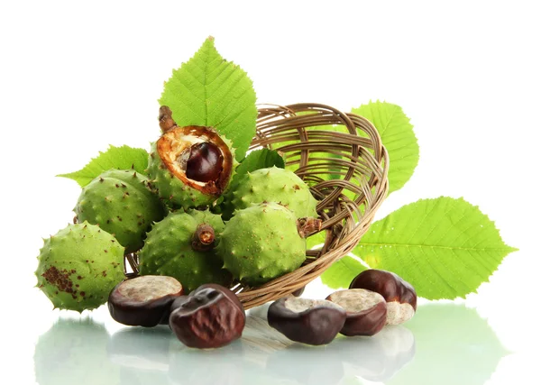 Chestnuts with leaves in basket, isolated on white — Stock Photo, Image