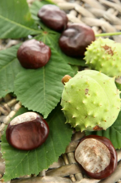 Chestnuts with leaves on wicker background — Stock Photo, Image