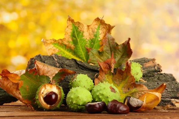 Castañas con hojas secas de otoño y corteza — Foto de Stock
