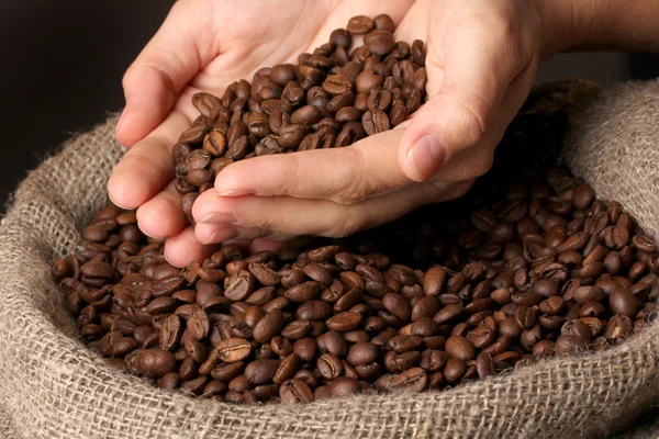 Coffee beans in hands on dark background — Stock Photo, Image