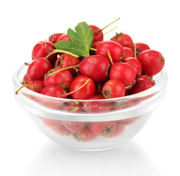 Hawthorn in glass bowl isolated on white — Stock Photo, Image