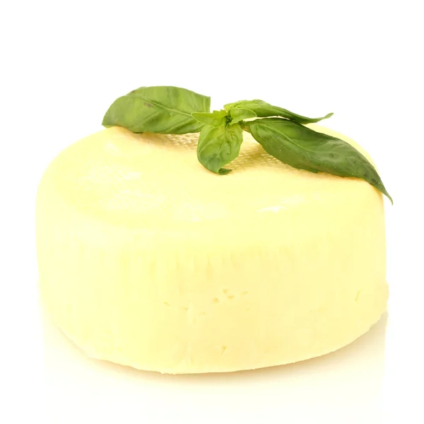 Ost mozzarella med grön basilika isolerad på vit — Stockfoto