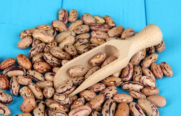Brown beans in wooden spoon close-up on blue wooden table — Stock Photo, Image