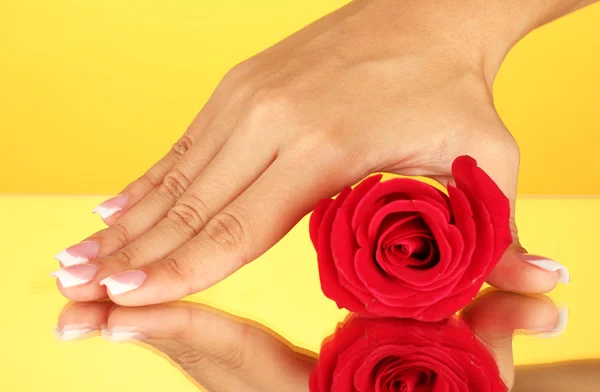 Rosa vermelha com a mão da mulher no fundo amarelo, close-up — Fotografia de Stock