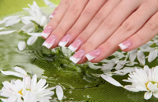 Mãos de mulher com manicure francês e flores em tigela verde com água — Fotografia de Stock