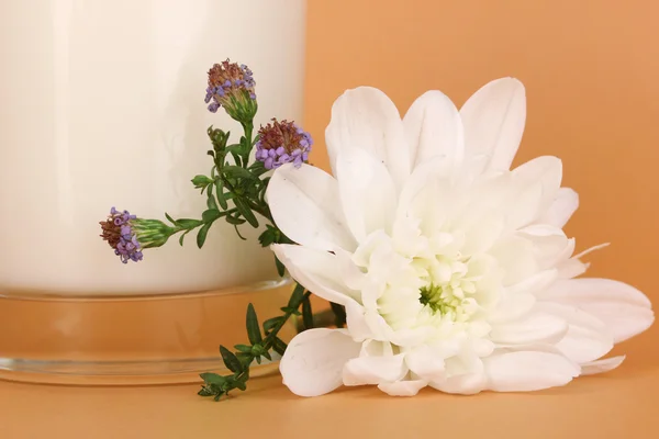 Glas frische neue Milch mit weißer Blume auf braunem Hintergrund — Stockfoto