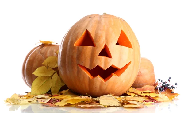 Halloween pumpkins and autumn leaves, isolated on white — Stock Photo, Image