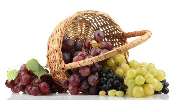 Assortment of ripe sweet grapes in basket, isolated on white — Stock Photo, Image