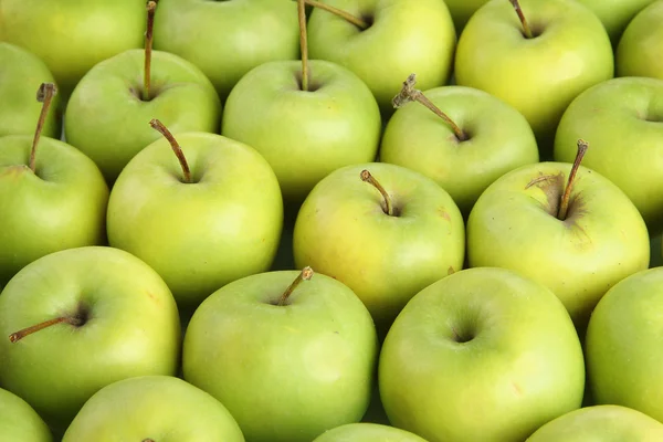 Ζουμερά μήλα, κοντινό πλάνο — Φωτογραφία Αρχείου