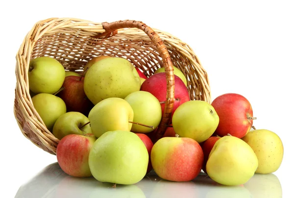 Manzanas jugosas en cesta, aisladas en blanco — Foto de Stock