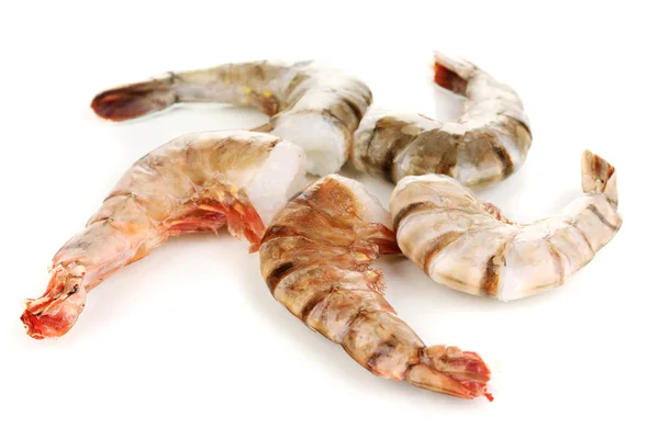 Prawns isolated on white — Stock Photo, Image