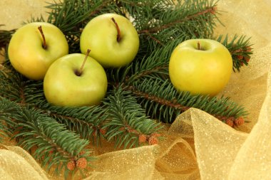 Altın bez güzel Noel kompozisyonu