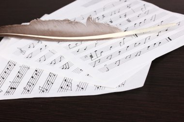 nota ve tüy ahşap tablo