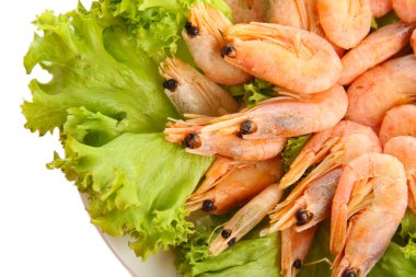 tabakta üzerine beyaz izole marul yaprakları ile haşlanmış karides