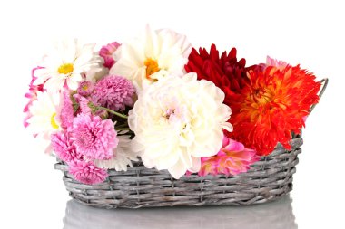 papatyalar ve dahilas üzerinde beyaz izole hasır sepet