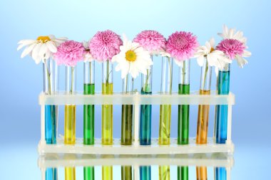 test tüpleri izole mavi renkli çiçekler