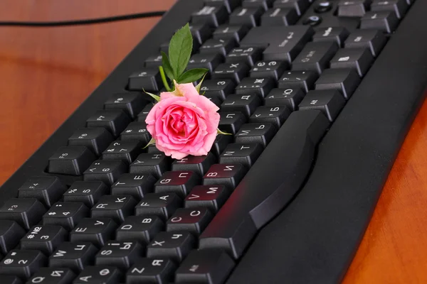 Mawar merah muda pada keyboard komunikasi internet close-up — Stok Foto