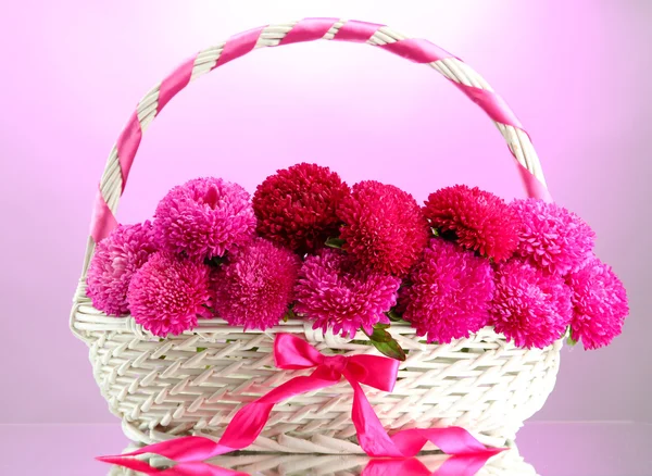 Beautiful aster flowers in basket, on pink background — Stock Photo, Image