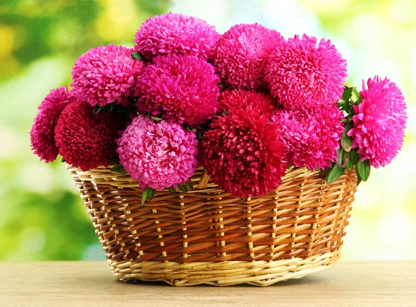 Pink aster flowers in basket on green background — Stock Photo, Image