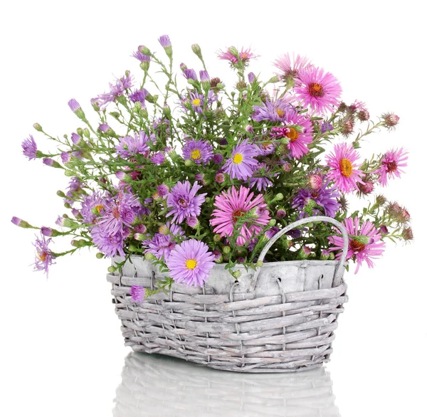 Beautiful bouquet of purple flowers in basket isolated on white — Stock Photo, Image