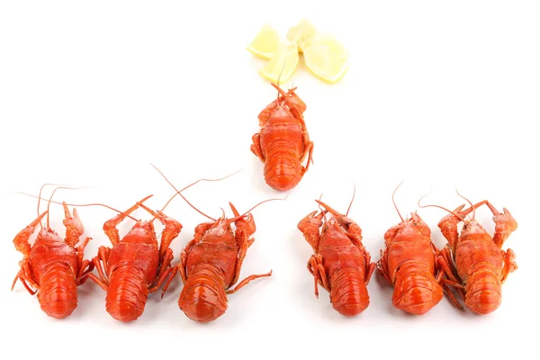 Lagostins cozidos saborosos isolados em branco — Fotografia de Stock