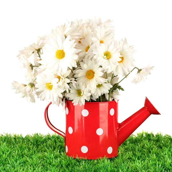 Flowers in vase on grass isolated on white — Stock Photo, Image