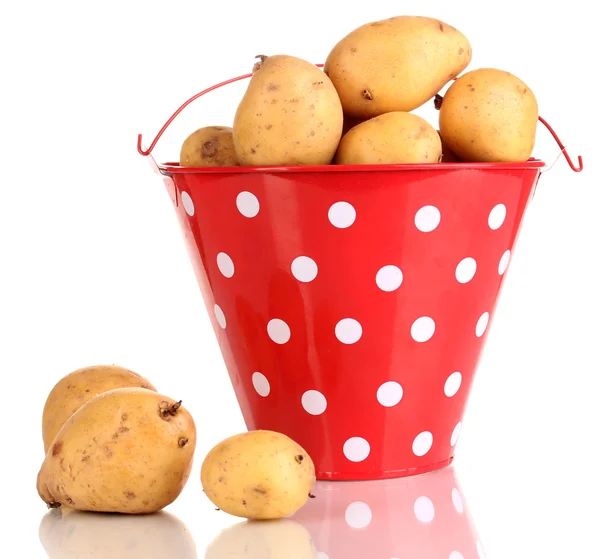 Batatas maduras em balde vermelho isolado em branco — Fotografia de Stock