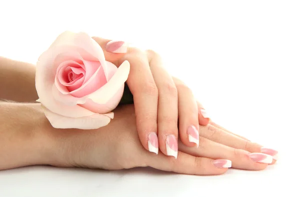 Bella donna mani con rosa, isolato su bianco — Foto Stock