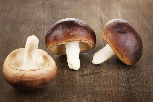 Cogumelos frescos na mesa de madeira close-up — Fotografia de Stock