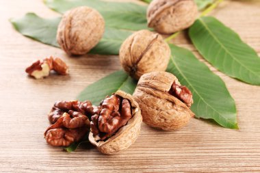 Ceviz ahşap zemin üzerine yeşil yaprakları ile