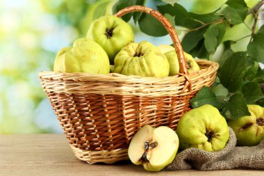 tatlı ayvaları yapraklar yeşil zemin üzerine sepeti