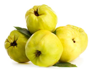 Yapraklı tatlı ayva, bembeyaz.